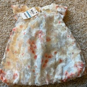 Beautiful floral dress and accompanying bloomers